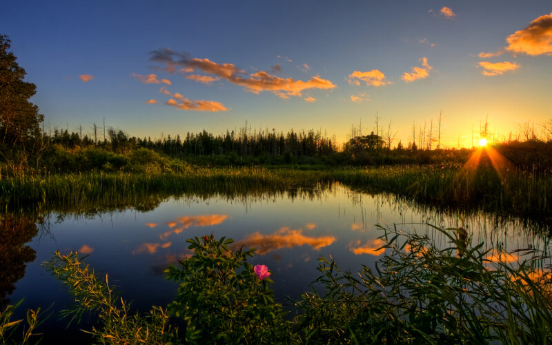01953_peacefulsunset_1680x1050
